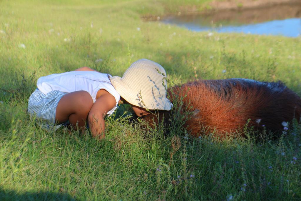 Estancia Turistica Finca Piedra Mal Abrigo Екстер'єр фото