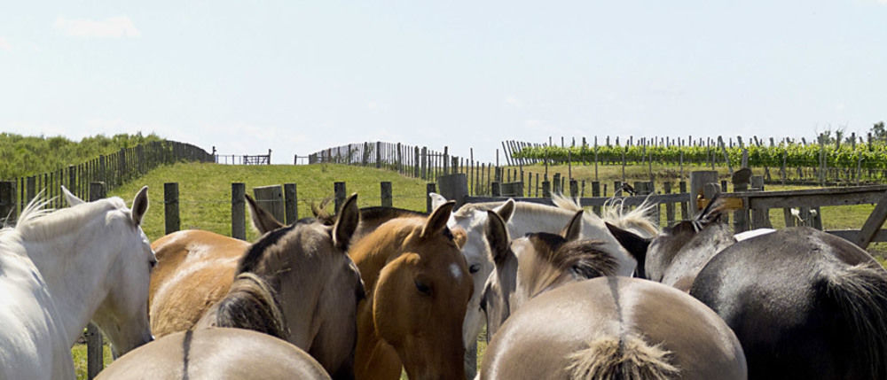 Estancia Turistica Finca Piedra Mal Abrigo Екстер'єр фото