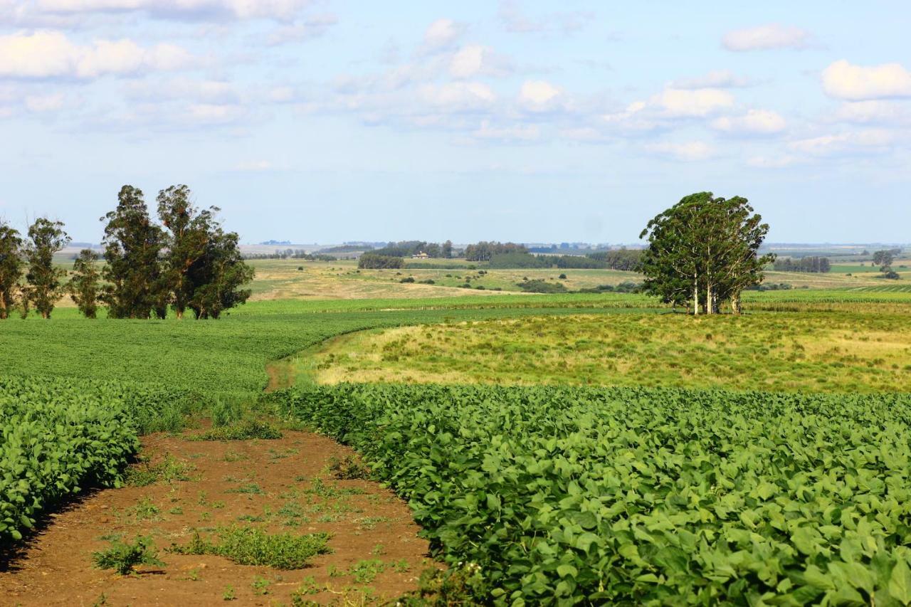 Estancia Turistica Finca Piedra Mal Abrigo Екстер'єр фото